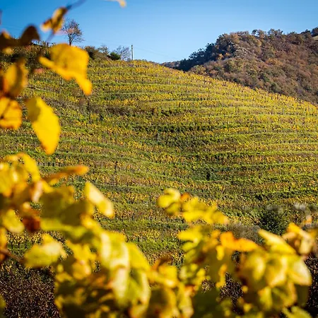 Restaurant Pecoitz Hotel 2*