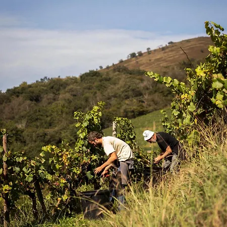 Restaurant Pecoitz Hotel 2*