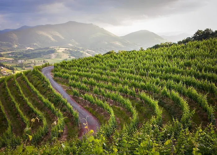 Szálloda Restaurant Pecoitz 2*