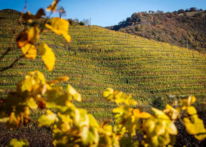 Restaurant Pecoitz Hotel 2*