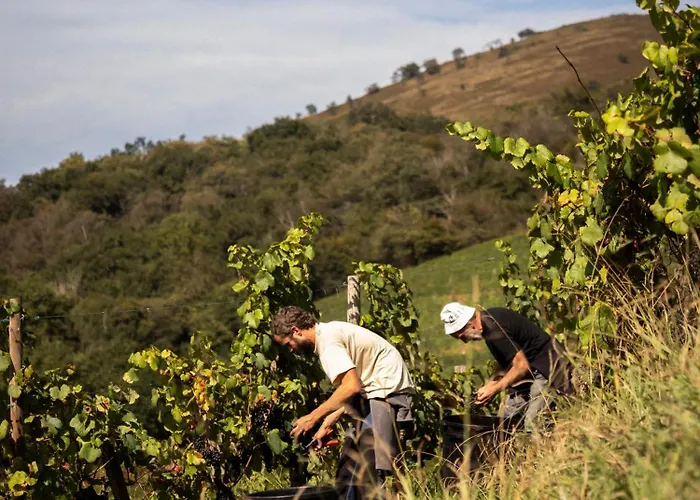 Restaurant Pecoitz فندق 2*