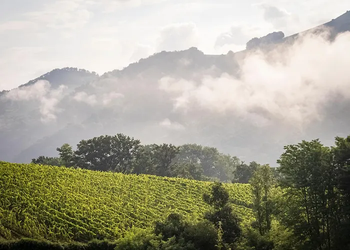 Restaurant Pecoitz 2* سان جان بييه دو بور